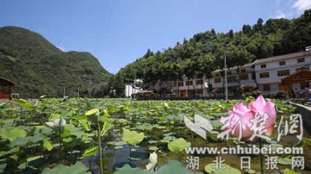 通讯员供图 荆楚网(湖北日报网)讯(通讯员邹景根,周婷婷)11月20日