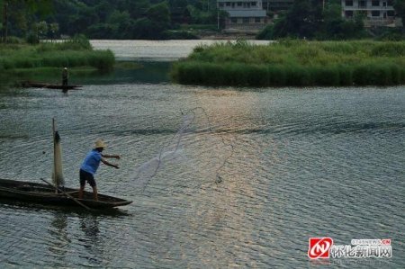 先后进行了渔舟唱晓,百鹅起舞,荷中泛舟,村童戏水,走秀山水间,江枫