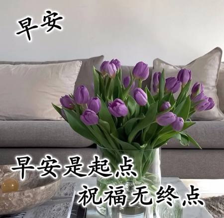 7月28日早上好问候大家的早安图片带字,愿你夏日清凉