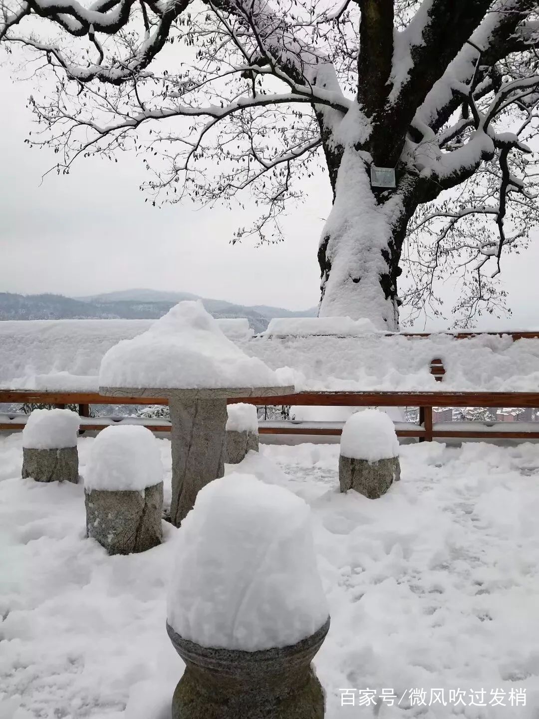 大雪纷飞的张家界就像来到了一个幽烟恬静