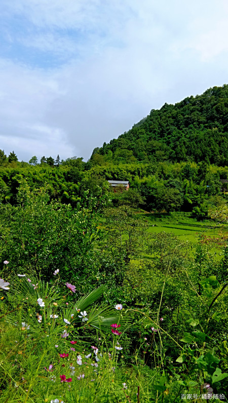 乡村风景,万源竹峪东梨村