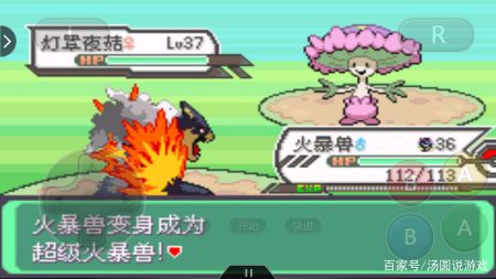 口袋妖怪:你没见过的超级进化!炎之帝王,烈焰翻腾火暴兽!