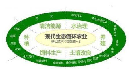 变废为宝,综合利用,发展农业循环经济,为农民增收助力