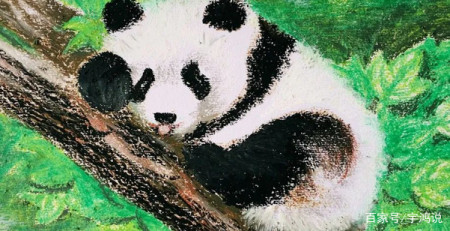 可以登录账号的熊猫绘画是社区版,app图标为一只熊头伸出手抱一支笔