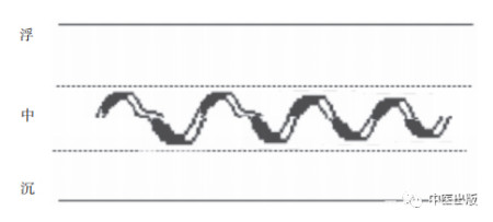 脉学不再抽象,各种脉象概述及示意图