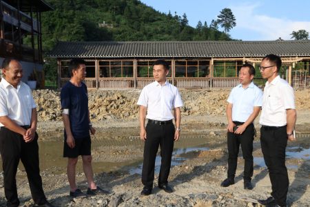 在南皋乡,龙滨先后到清江村民宿项目点,石桥新村蝴
