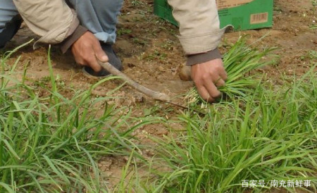 南充楼市开发商割韭菜的镰刀之:"虚假宣传"