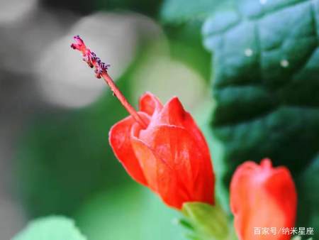 占星合盘:比较盘,组合盘的一些结构相位解释