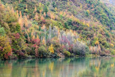 去陇南,一定不能错过文县天池 群山万壑如同一双双手,托起这面2400