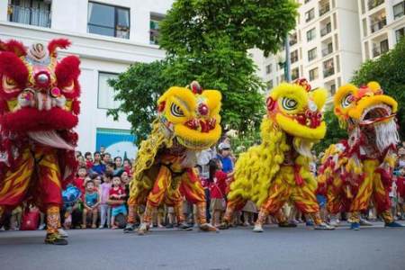 中国的舞狮文化:南狮和北狮有什么区别?每一只狮子里面都有灵魂