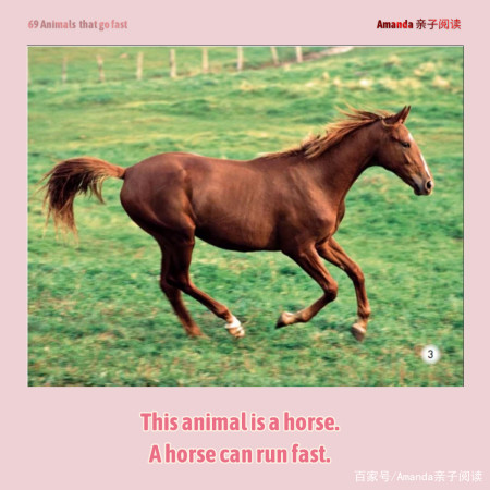 a horse can run fast. 马儿跑得快.