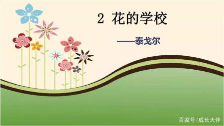 三年级《花的学校》这些细节是在抛