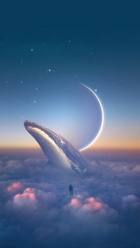 绝美蓝色系背景图,治愈又清新