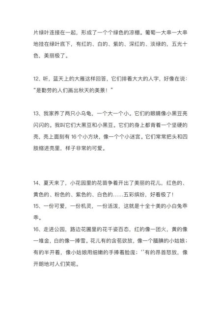 二年级语文上册好词好句集锦,每天读一读,看图写话再