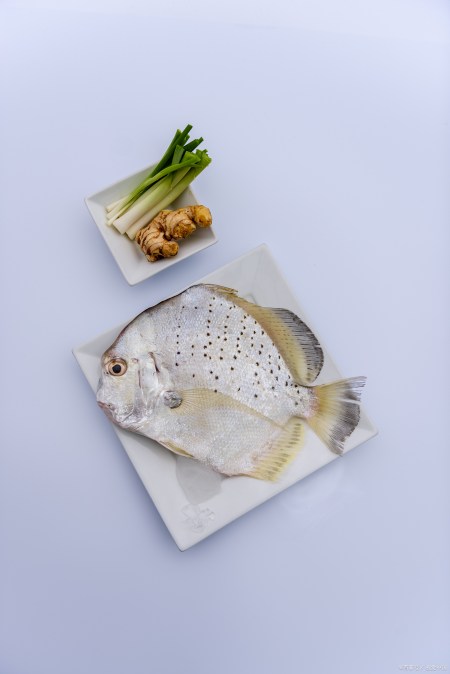 英文名:southwest atlantic butterfish(西南大西洋鲳鱼,俗名:雪花鲳