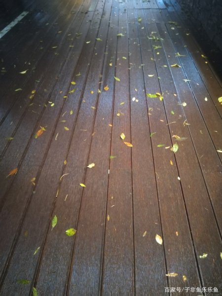 秋雨夜歌声