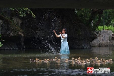 先后进行了渔舟唱晓,百鹅起舞,荷中泛舟,村童戏水,走秀山水间,江枫