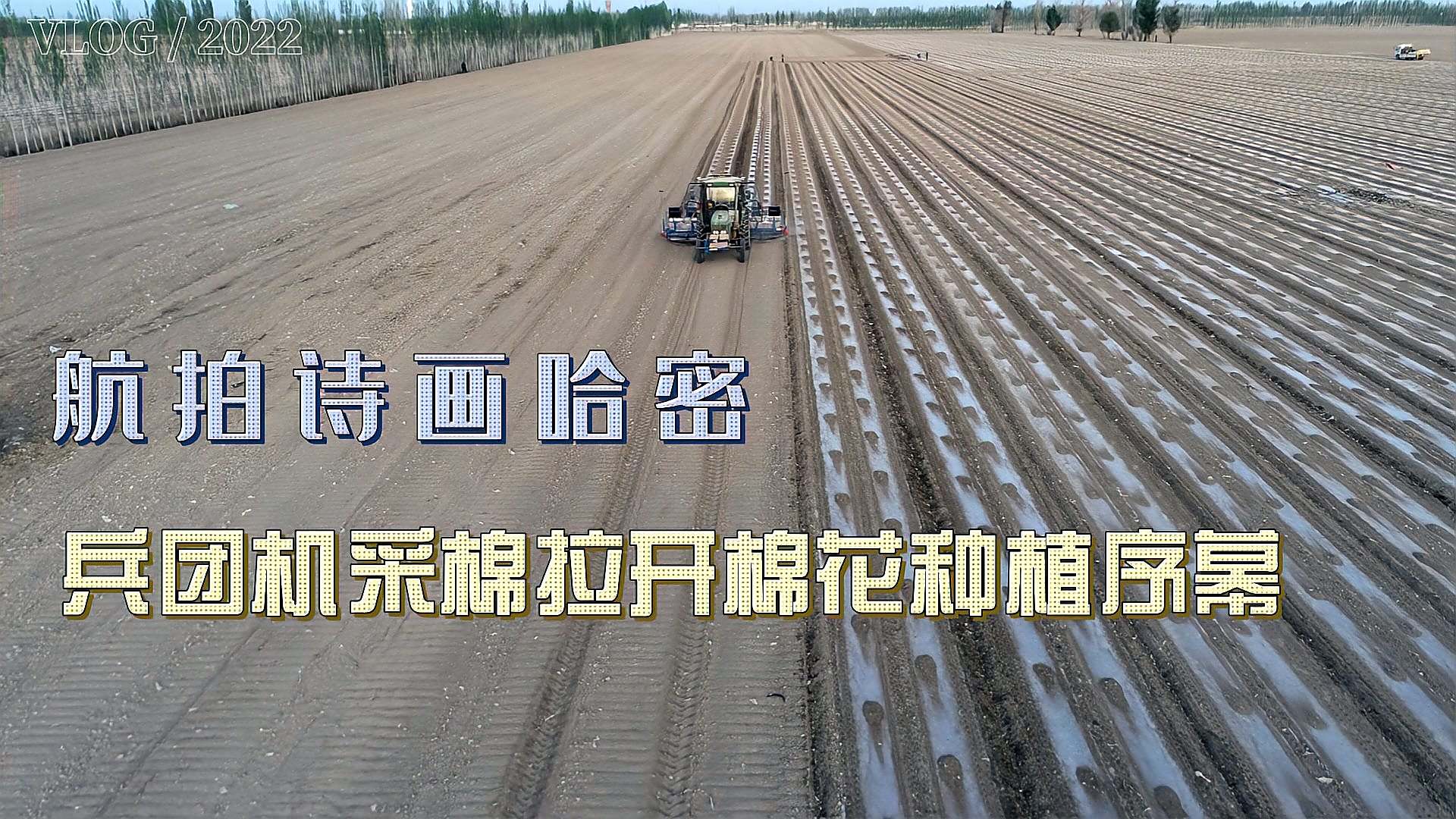 航拍诗画哈密:兵团机采棉拉开棉花种植序幕