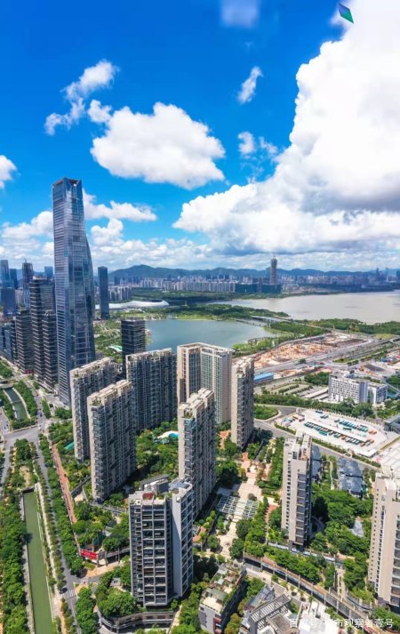 深圳五大天价豪宅排名,最贵的一平方103万