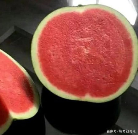 染色体的秘密——为什么骡子不能生育,无籽西瓜只能人工培育?