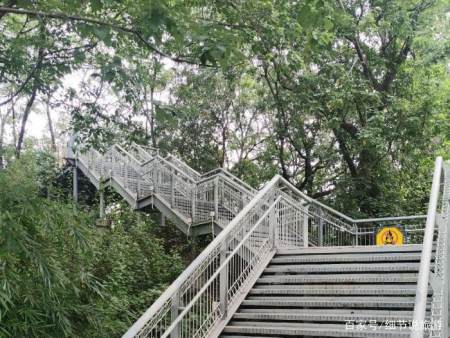 打卡华盖山栈道,感受市中心的空中绿道,人少景美