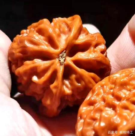 150种文玩核桃品种分享之104:沈阳鸡心