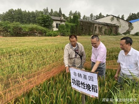 协议成功签订,给何登骥老师为选育功能稻良种,经历十