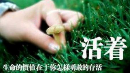 可是当我看到突发其来的灾难夺走人们的生命时,不得不感叹:"活着真好!