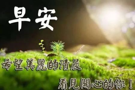 有创意的早上好温馨祝福句子,早安问候大家表情图片