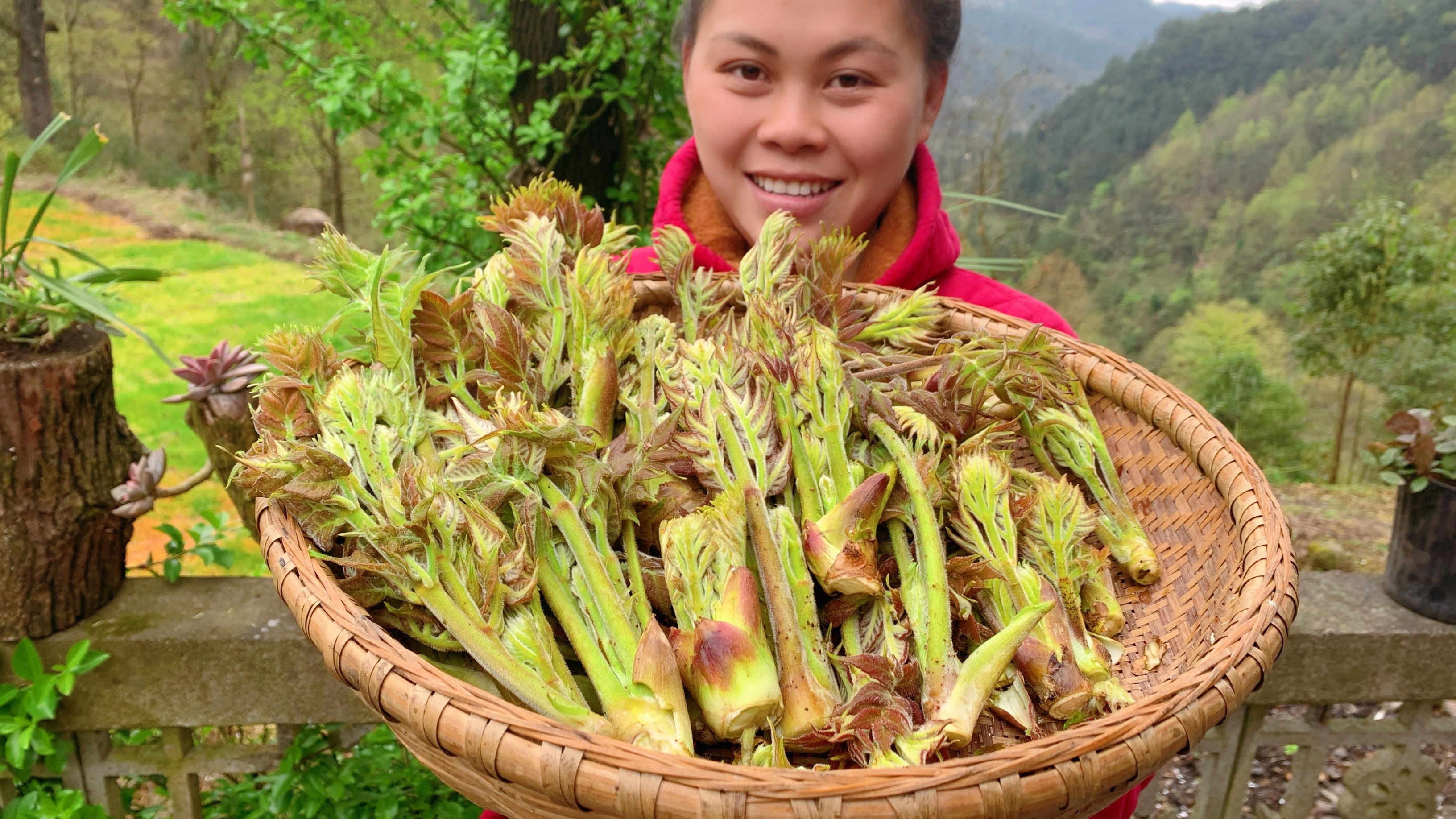 山里很多刺嫩芽,今天摘了一堆回来炒肉,加碗辣椒很下饭你吃过吗