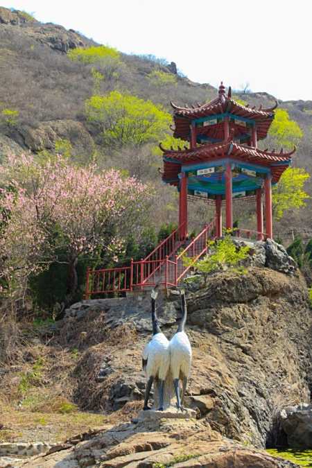 滨州摄影师2020山水邹平 今朝更美