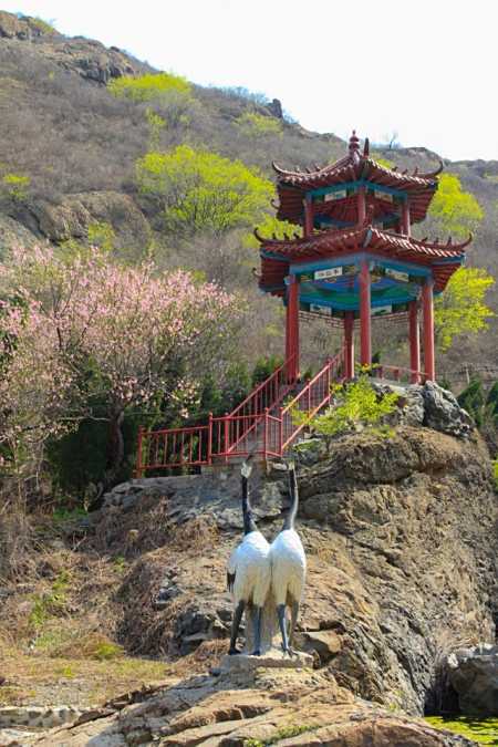 春染鹤伴山 2020年4月5日,邹平市鹤伴山风景区春光明媚,柳绿花红,处处