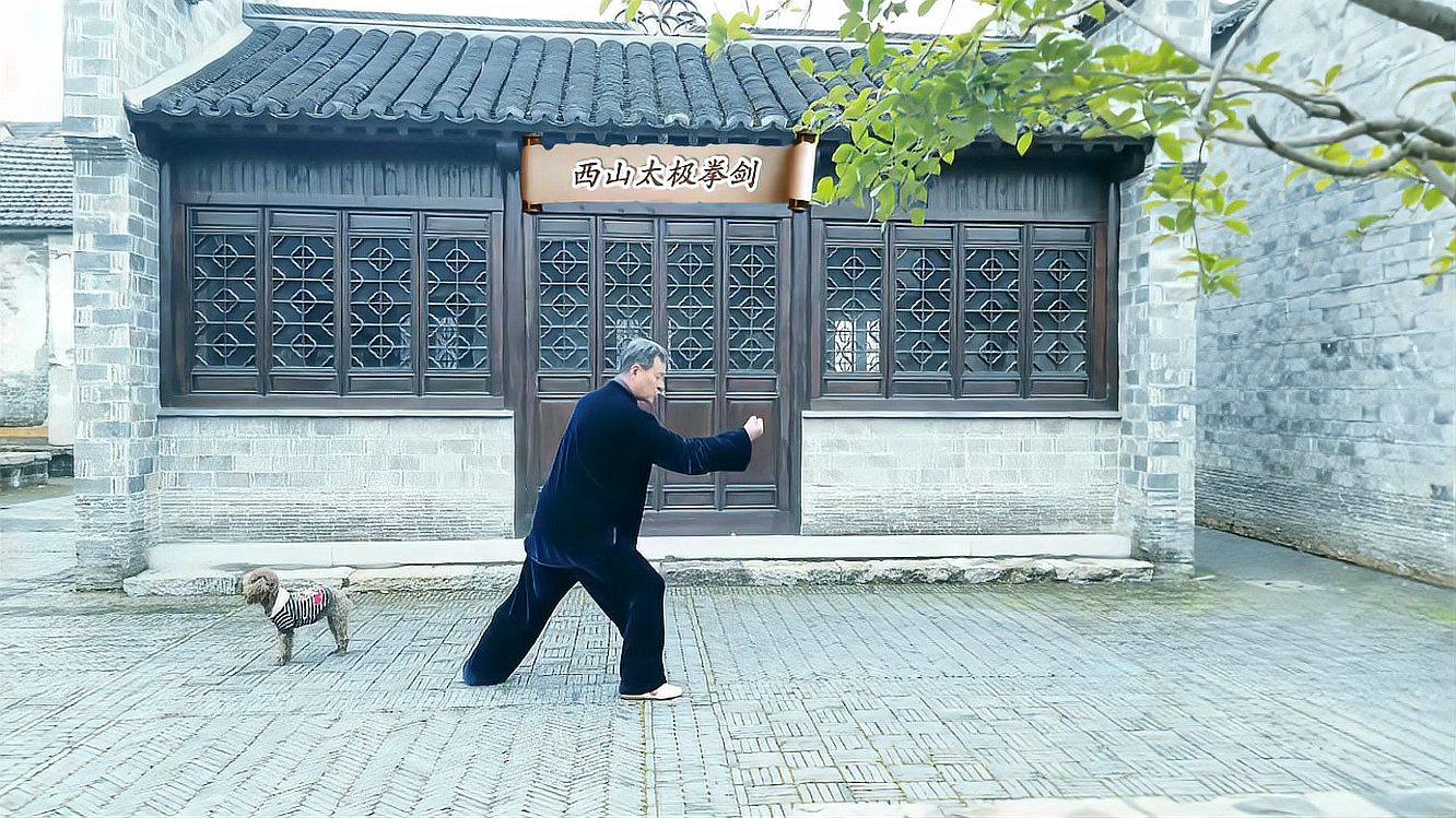 学练董虎岭先生传统杨氏太极拳之"进步搬拦捶"练法分享交流