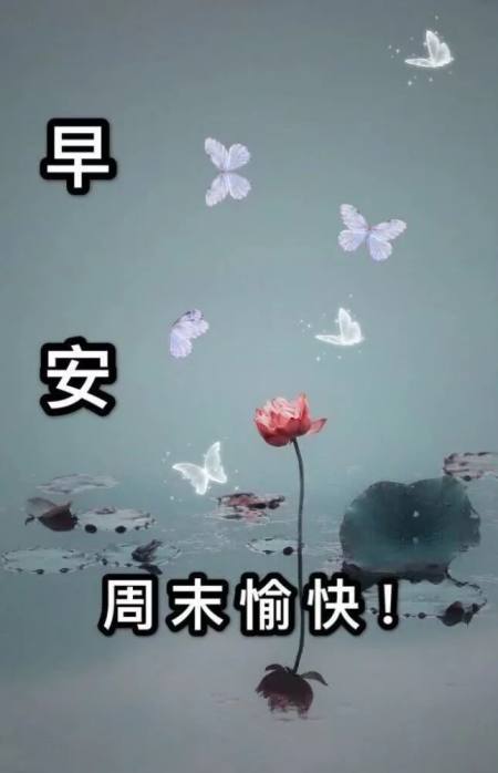 适合早晨群发的早上好祝福短信语录，很漂亮的早安问候表情图片