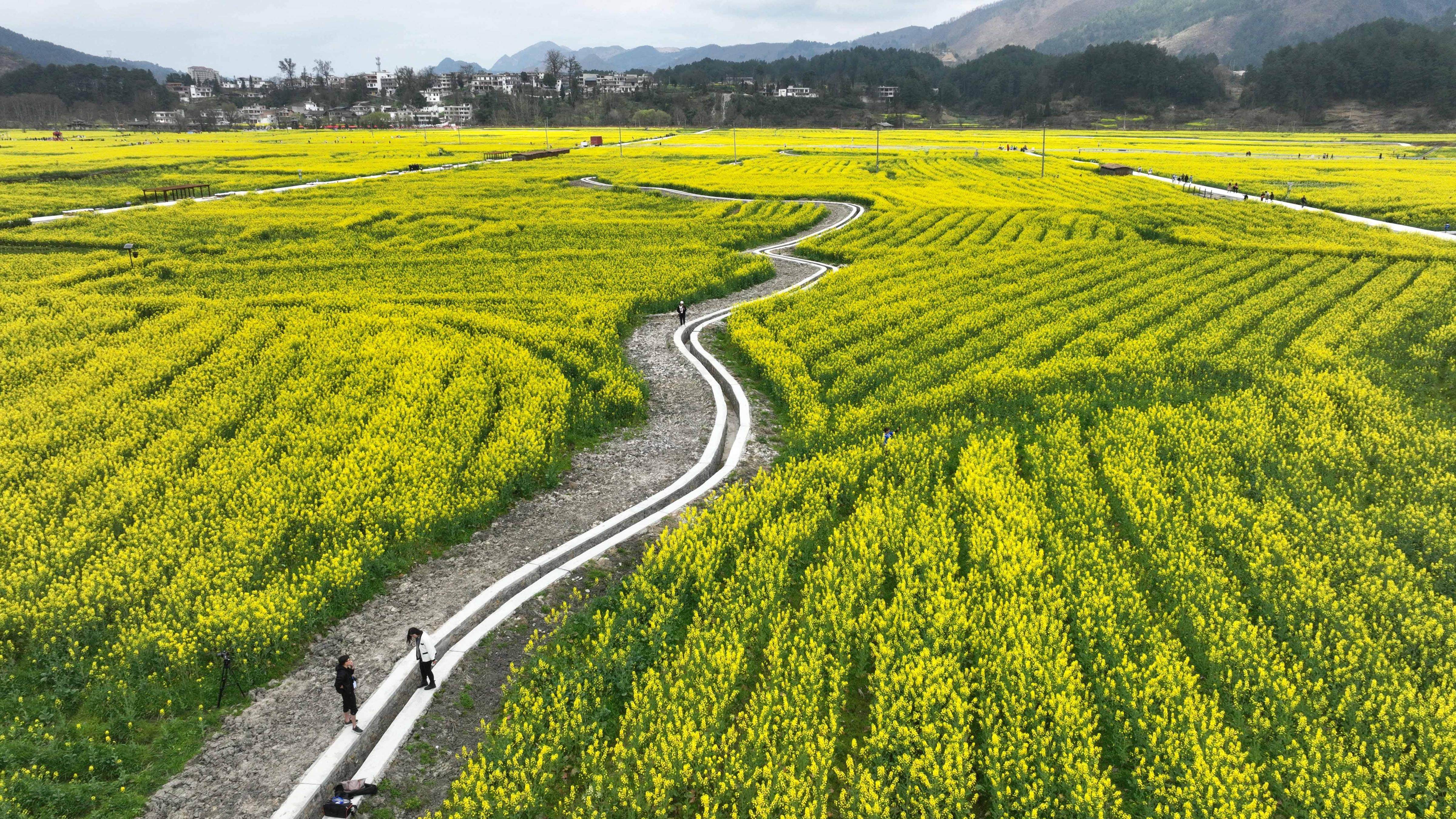 3月11日拍攝的貴州省貴定縣盤江鎮