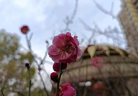 硬核推荐（今年立春的日子）立春好时节，(图3)