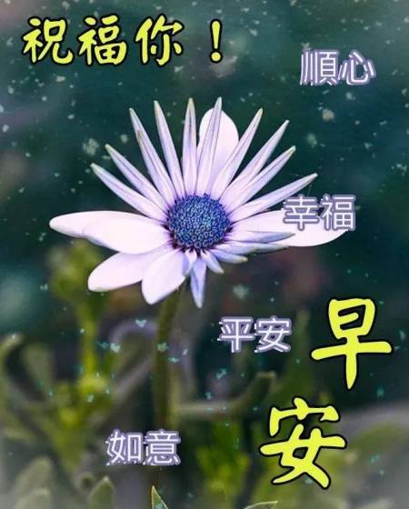 适合早晨群发的早上好祝福短信语录，很漂亮的早安问候表情图片