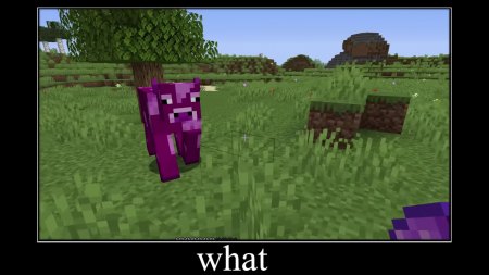 我的世界：特性还是人为？八张神奇的mc画面，据说只有老mc能看懂-游戏攻略礼包下载 安卓苹果手游排行榜 好游戏尽在春天手游网