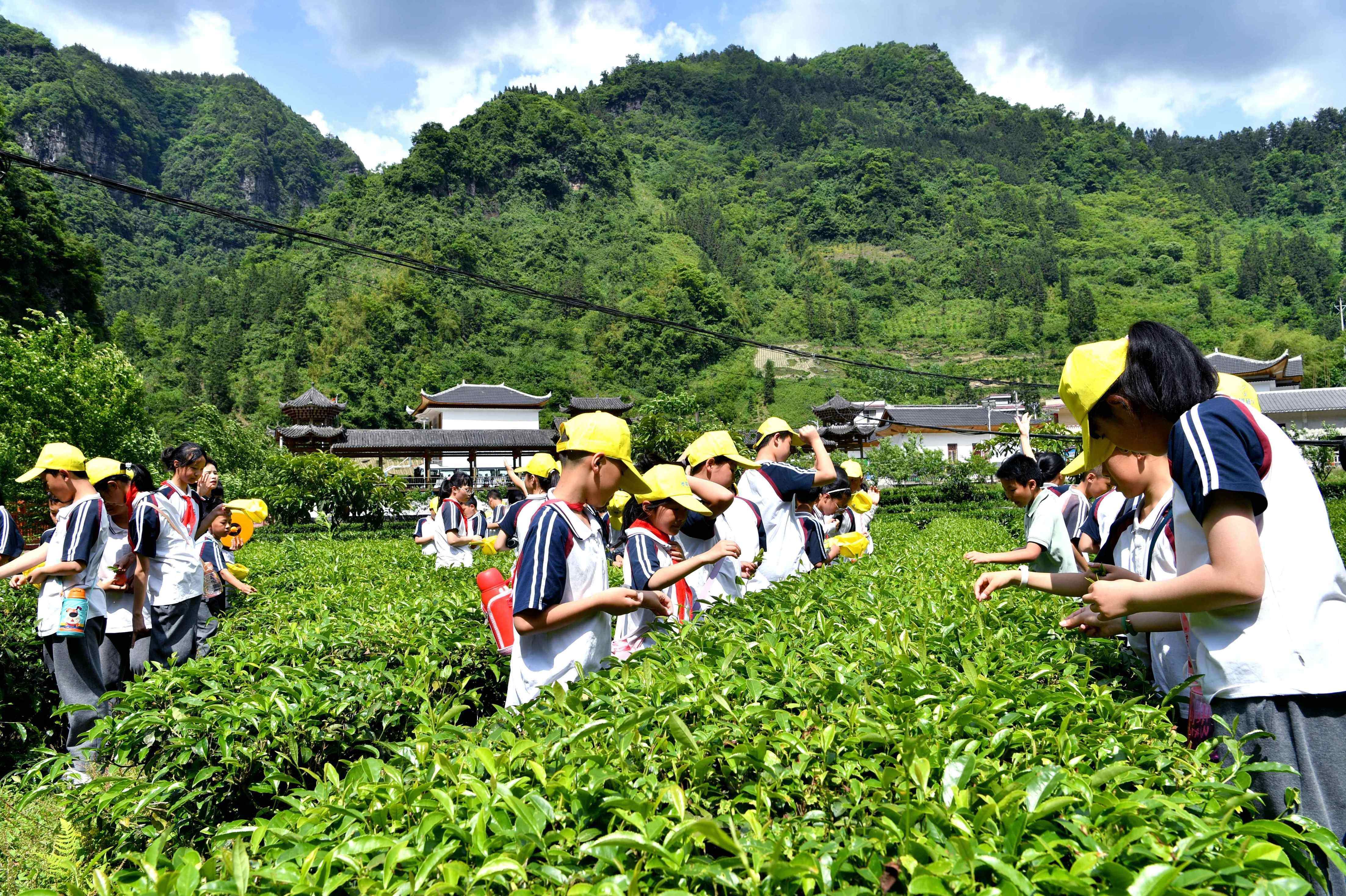 5月23日,湖北省恩施清江外國語學校的小學生在宣恩縣長潭河侗族鄉興隆