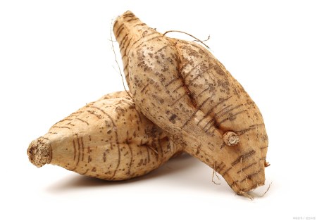 粉葛的功效作用及食用方法