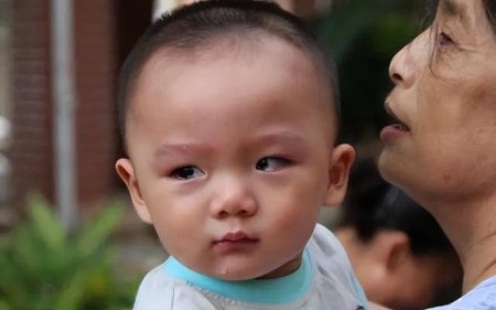 详细阅读:为何孩子越大,越不喜欢跟奶奶亲近?心理学家这样解释,很有道理 为何孩子越大,越不喜欢跟奶奶亲近?心理学家这样解释,很有道理