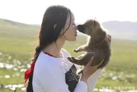 11年前 四川姑娘李微漪 把1匹狼当 小子 结果如何