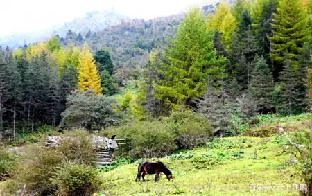 成都有山有水的景点  ChinaTravel 中國觀光景點