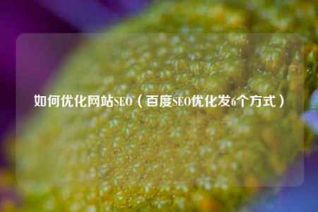 如何优化网站SEO(百度SEO优化发6个方式) 如何优化网站SEO(百度SEO优化发6个方式)
