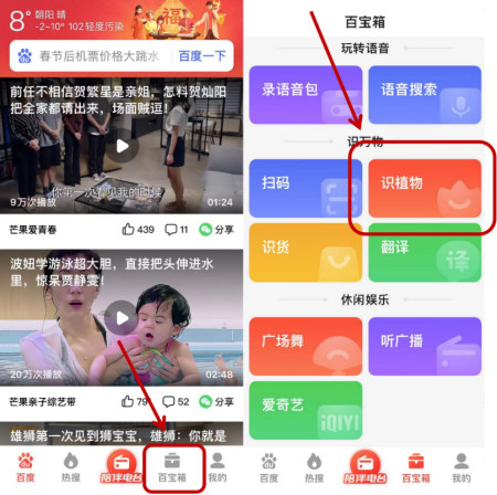 拍照就能识别！百度大字版APP“识植物”功能还有这个用处