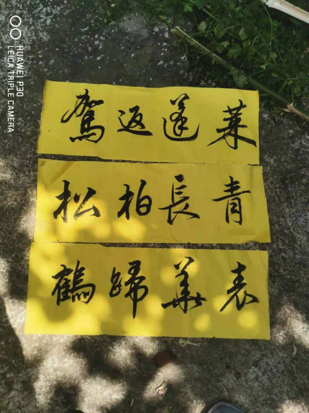 管家說我讀書多,曾經讀死了兩個老師,就讓我負責寫門窗上的輓聯,不然