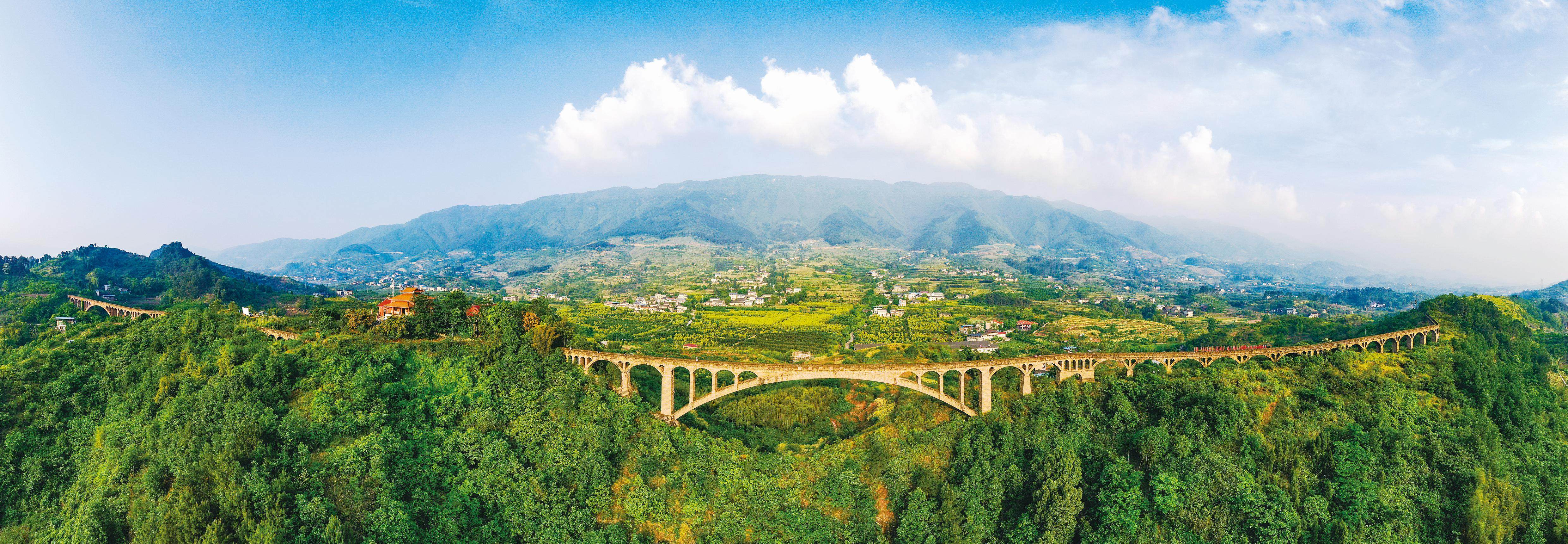 在柳荫镇东升村,明通村等地,当地通过宜机化改造种植了1500亩油菜,眼