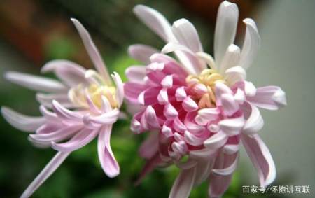 6月10日 吉星闪耀 财运旺旺 事业一路高歌 6月10日 吉星闪耀 财运旺旺 事业一路高歌
