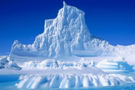 南极发现一种冰鱼 适合在低温环境生活 超过5度可能就丧命