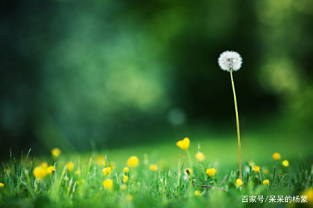 7月1日星座运势 事业有成 财运爆发 乘风破浪的四大星座 7月1日星座运势 事业有成 财运爆发 乘风破浪的四大星座